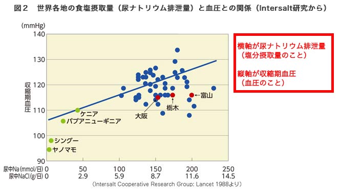 塩分摂取量と高血圧の関係