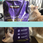 【評判どう？】コストコのカークランドキャットフードを愛猫に与えてみた私の口コミ！