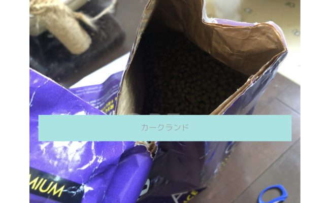 kosutoko2