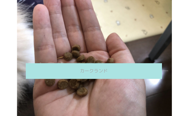kosutoko5