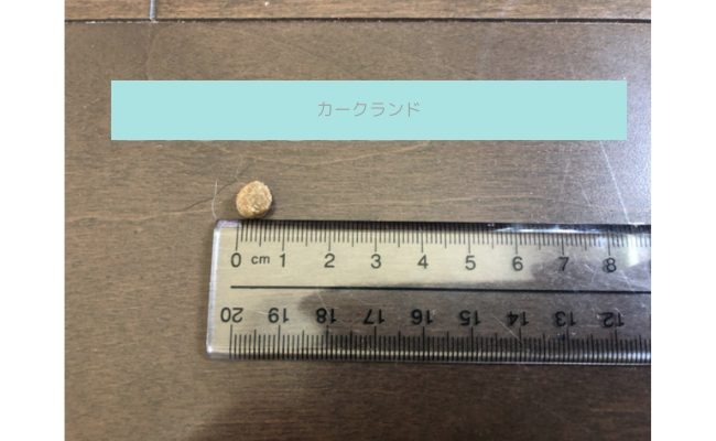 kosutoko6