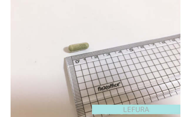LEFURA11