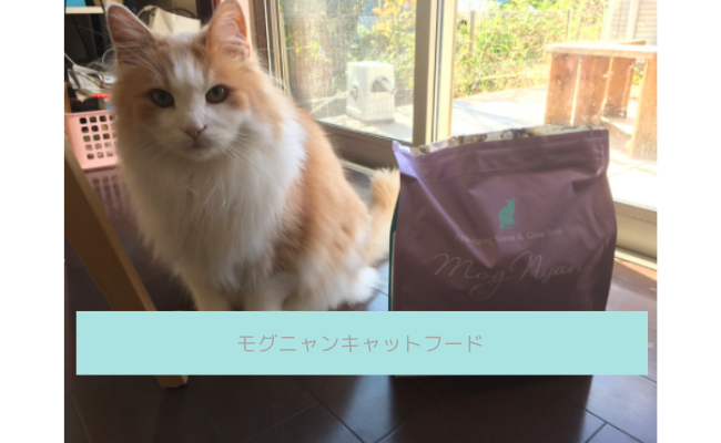 モグニャンキャットフード