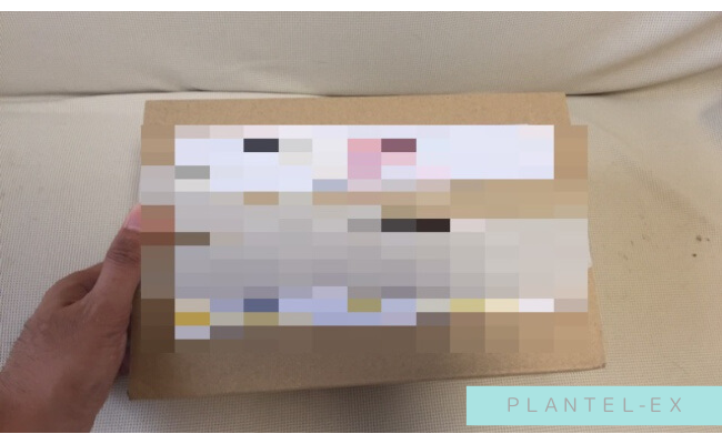 plantel-ex1