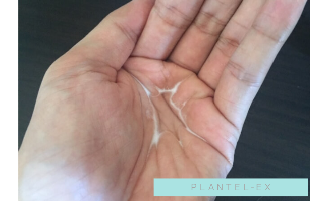 plantel-ex11