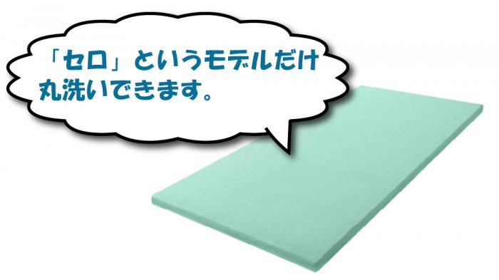 トゥルースリーパーの洗濯できるセロモデル