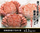毛蟹