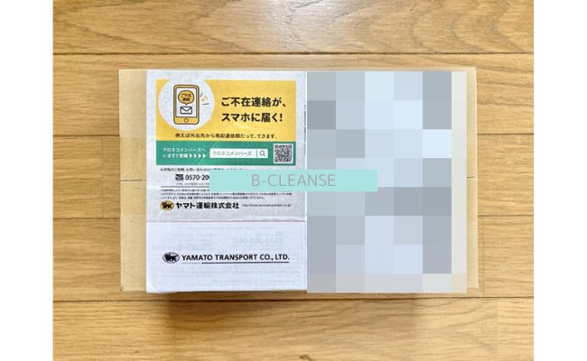b-cleanse1