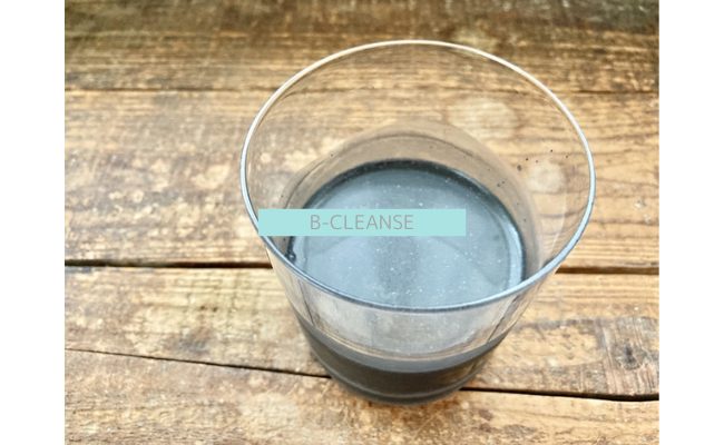 b-cleanse21