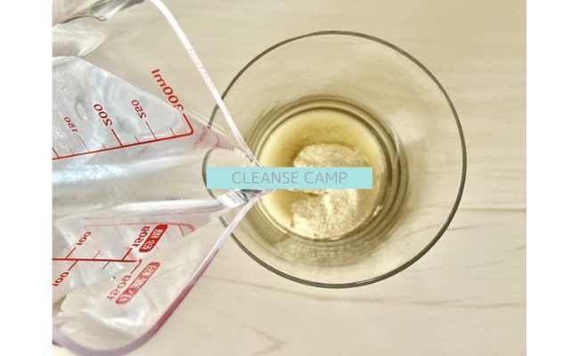 cleansecamp11