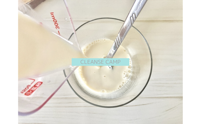 cleansecamp14