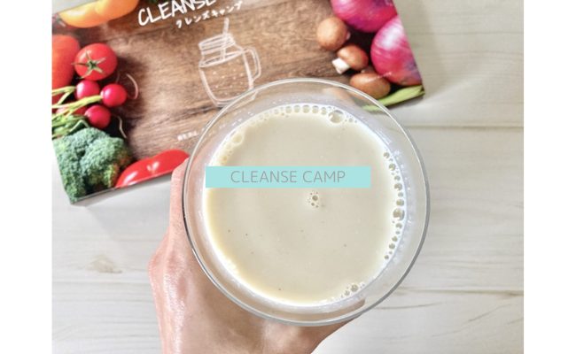 cleansecamp15