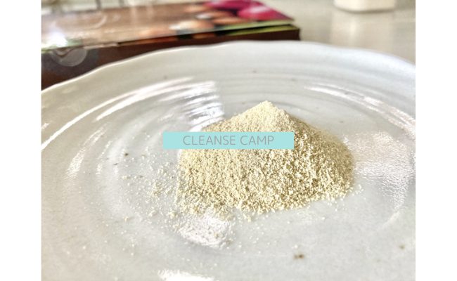 cleansecamp17