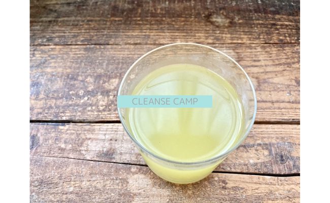 cleansecamp19