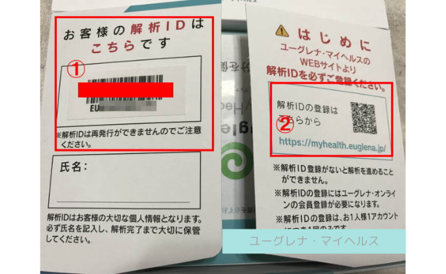 euglena-myhealth6