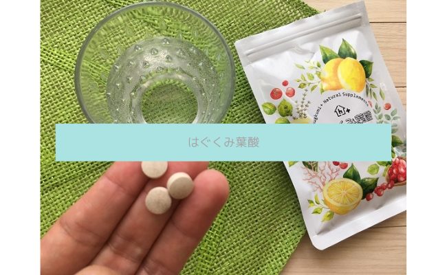 hagukumi-yousan7