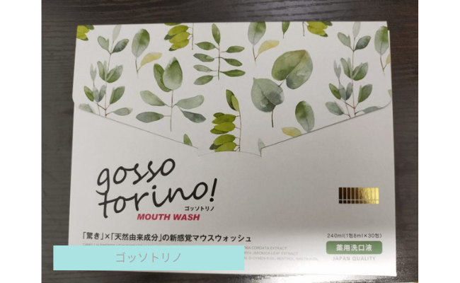 gossotorino3