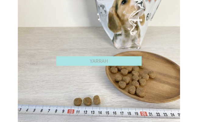 YARRAH1