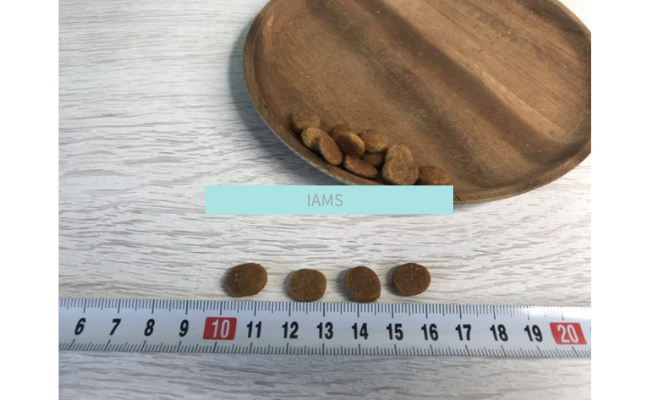 IAMS1