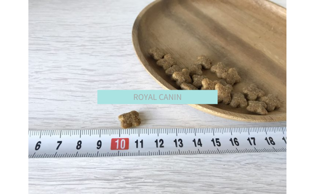 ROYAL CANIN1