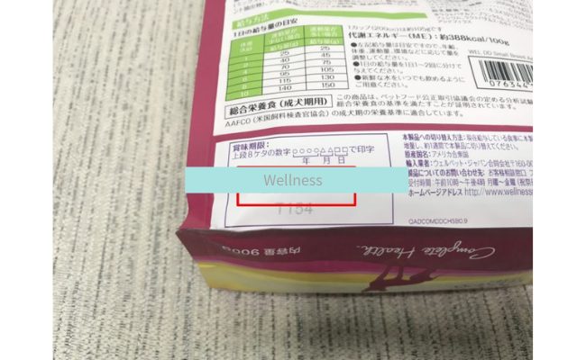 Wellness2