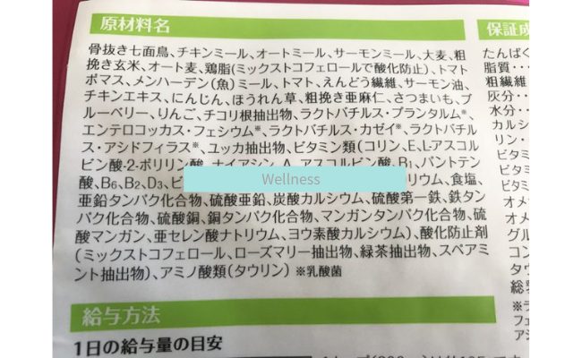 Wellness3