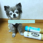butch-dogfood