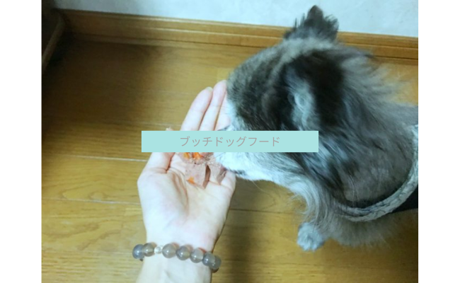 butch-dogfood2
