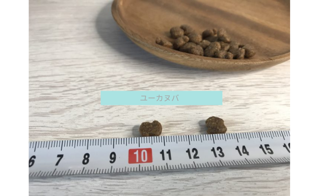 eukanuba1