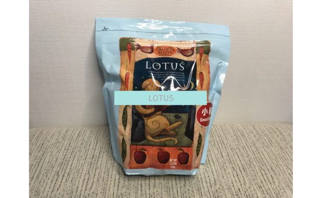 lotus