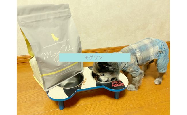 moguwan3