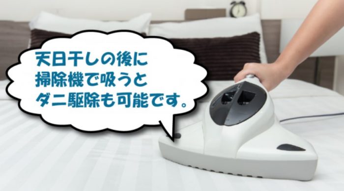 マットレスにダニがいる場合の駆除方法や対策について